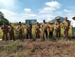Kabupaten Muratara Panen Raya Padi, Devi: Momentum penting Dalam Upaya Meningkatkan Ketahanan Pangan Daerah